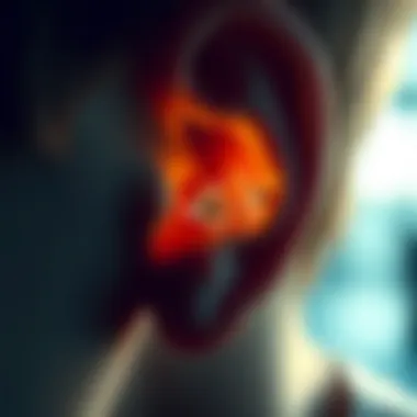Magnificent Explorations of the Inner Ear and Cochlear Implants Magnificent Explorations of the Inner Ear and Cochlear Implants