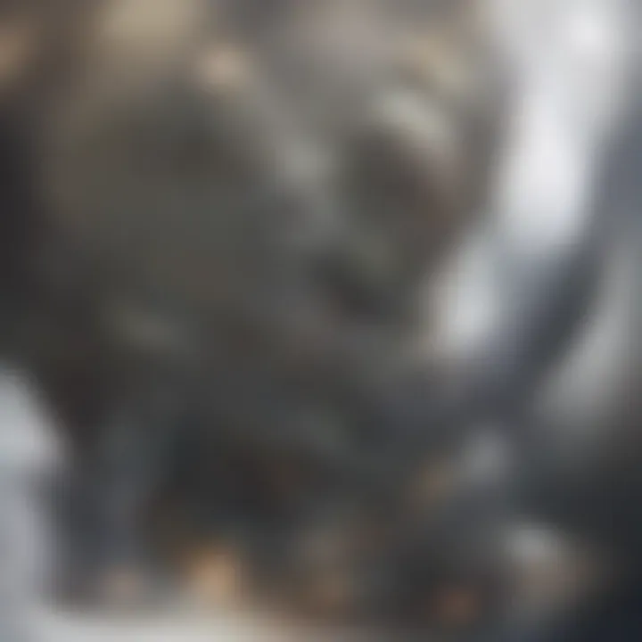 Magnificent Exploring A1 Mobility: A Comprehensive Analysis