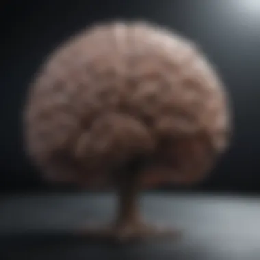 Magnificent Exploring the Dimensions: Intriguing Insights into the 3D Brain Magnificent Exploring the Dimensions: Intriguing Insights into the 3D Brain