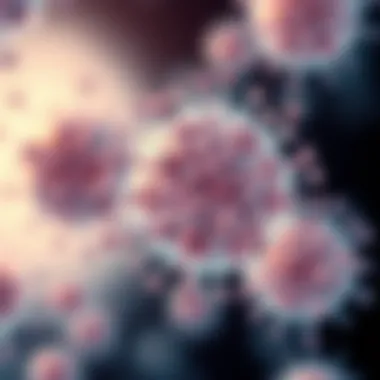 Magnificent The Importance of HL60 Cell Line in Leukemia Research Magnificent The Importance of HL60 Cell Line in Leukemia Research