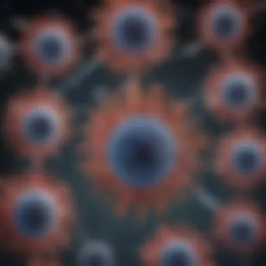 Magnificent The Role and Mechanism of Anti-CD28 Antibodies in Immunotherapy