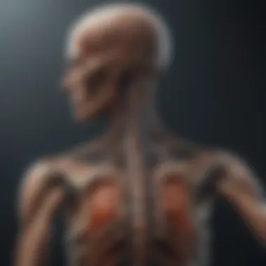 Magnificent Understanding C7 Incomplete Spinal Cord Injury Magnificent Understanding C7 Incomplete Spinal Cord Injury