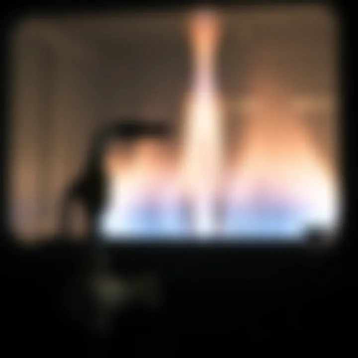 Magnificent Understanding Domestic Gas Usage: Applications and Implications