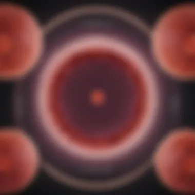 Graphical representation of the phases of the menstrual cycle