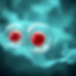 A Comprehensive Guide to Freezing Bone Marrow Cells: Protocols and Considerations Introduction