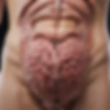 Innovative Treatments for Peritoneal Cancer Illustration of advanced treatment modalities for peritoneal cancer