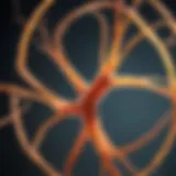 Innovative Research Techniques in MS