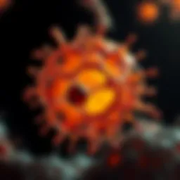 Cellular structure of multiple myeloma