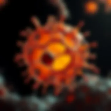 Cellular Dynamics in Multiple Myeloma Cellular structure of multiple myeloma
