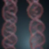 An In-depth Exploration of gRNA and Cas9 Mechanisms in Genome Editing Introduction