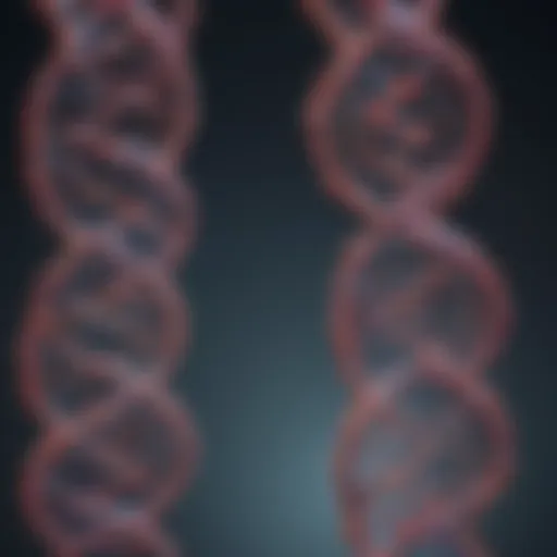 An In-depth Exploration of gRNA and Cas9 Mechanisms in Genome Editing Introduction