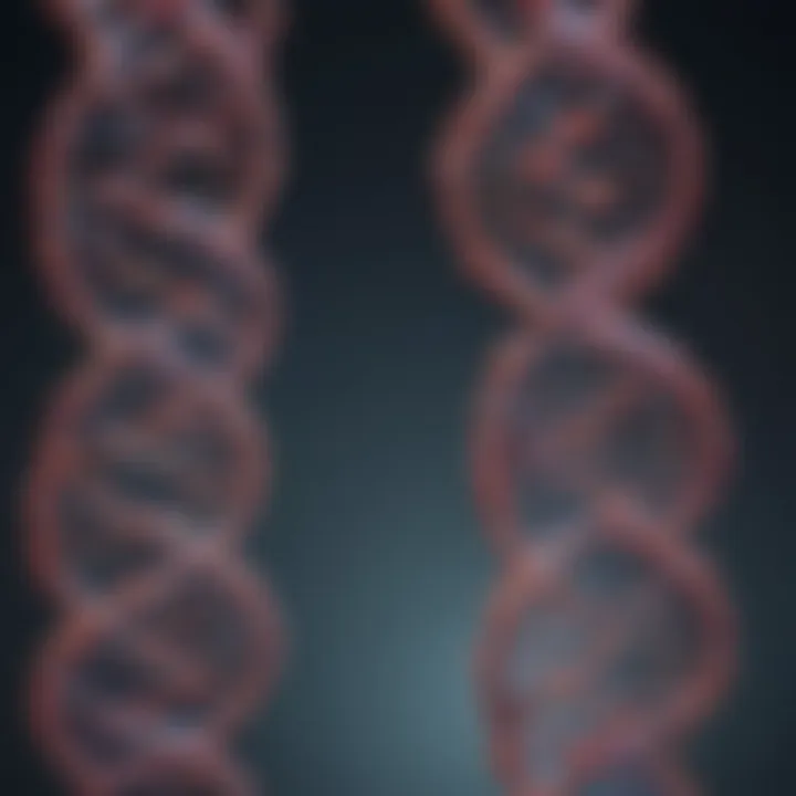 An In-depth Exploration of gRNA and Cas9 Mechanisms in Genome Editing Introduction