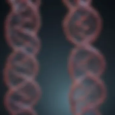 An In-depth Exploration of gRNA and Cas9 Mechanisms in Genome Editing Introduction An In-depth Exploration of gRNA and Cas9 Mechanisms in Genome Editing Introduction