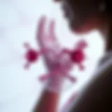 Conceptual representation of hormonal shifts during menopause