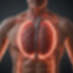 Cardiac rhythm analysis highlighting atrial fibrillation patterns