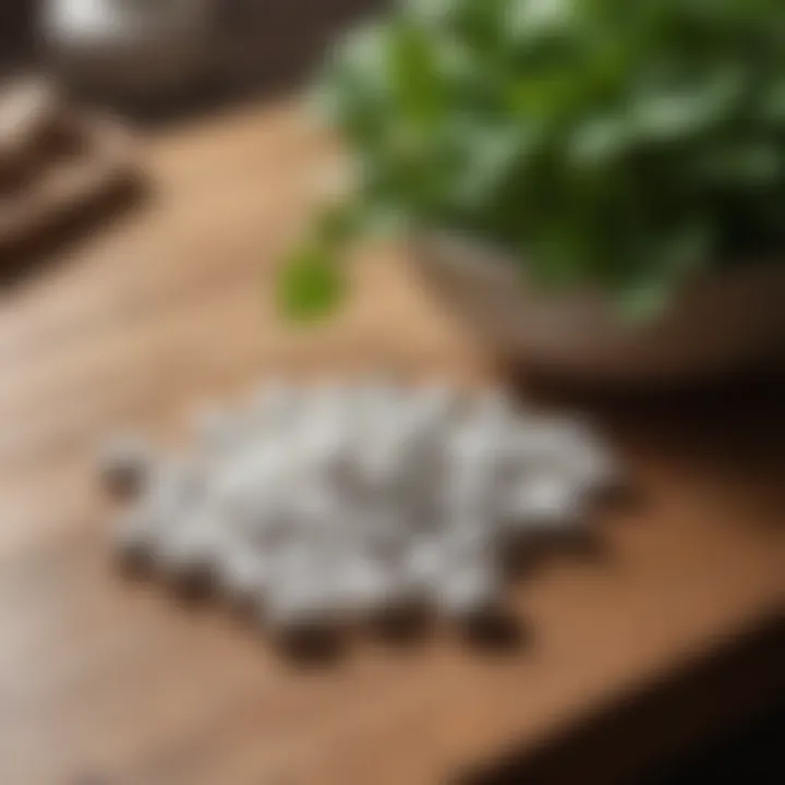 Close-up of bacopa pills arranged on a wooden table