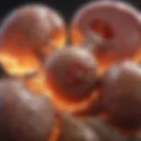 Illustration of kidney stones in both kidneys