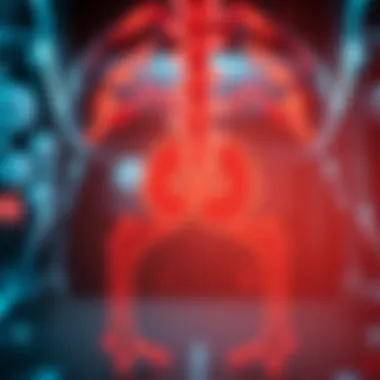 Visual representation of biomarkers related to bladder cancer