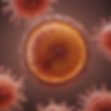 Pathological Insights into Bladder Cancer Bladder cancer pathology slides