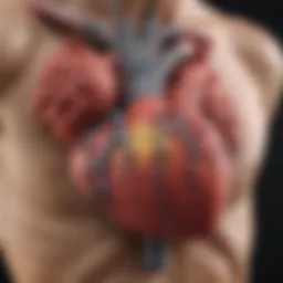 Advanced imaging techniques illustrating cardiac functions
