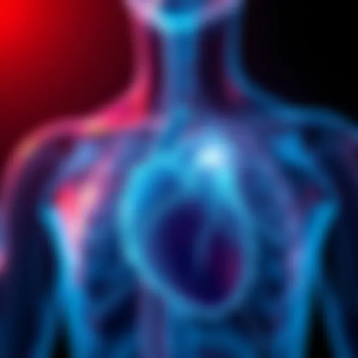 Illustration of the cardiovascular system during menopause