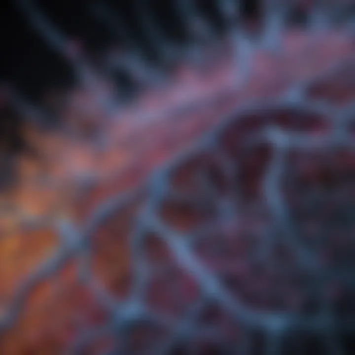 Visualization of cellular data generated from Imaging Flow Cytobot