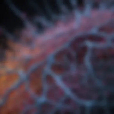 Cellular Data Visualization Visualization of cellular data generated from Imaging Flow Cytobot