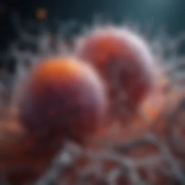 Cellular Dynamics in CLL Cellular analysis of chronic lymphocytic leukemia