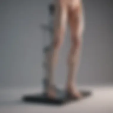 Close-up of a standing frame showcasing its adjustable features