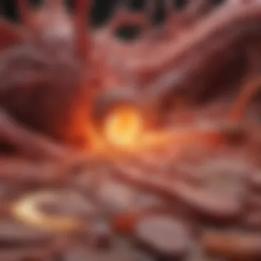 Understanding Cholesterol Buildup in Arteries Visualization of arterial cholesterol buildup