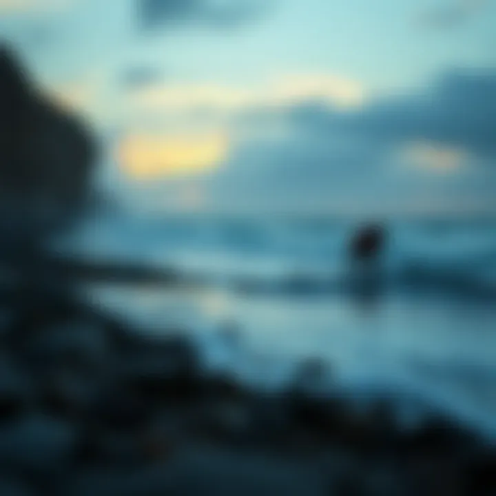 Rising Sea Levels and Coastal Impact Devastation of coastal areas due to rising sea levels