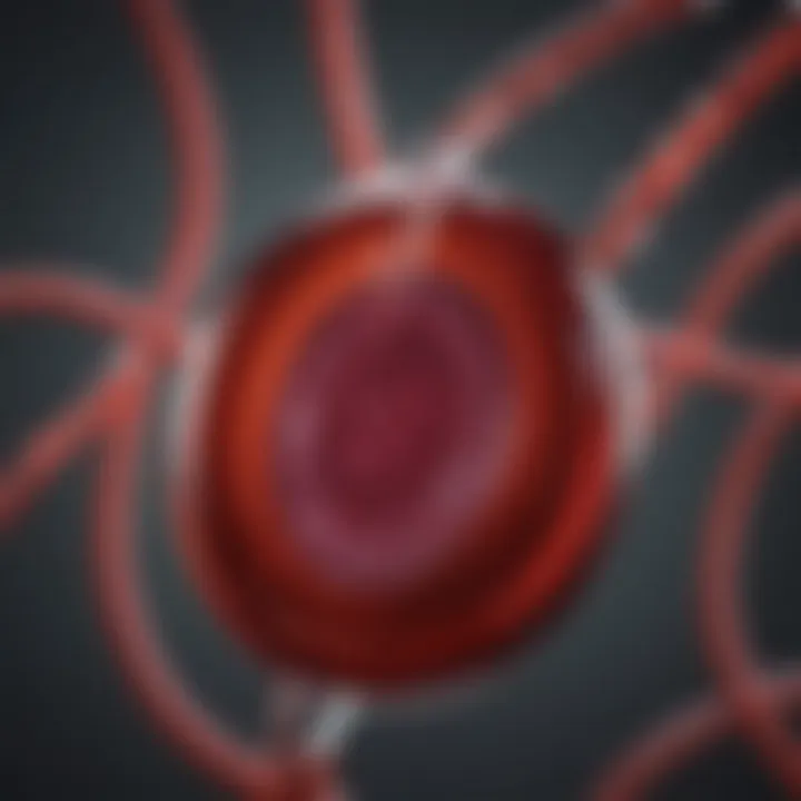 A visual representation of cord blood application in leukemia treatment