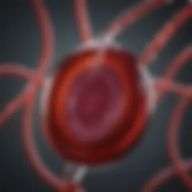 Cord Blood in Leukemia Treatment A visual representation of cord blood application in leukemia treatment