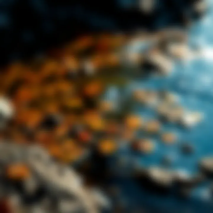 Toxicity in Natural Water Sources Close-up of contaminated river showing toxic substances