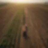 Aerial view of diverse agricultural fields