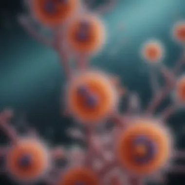 Microscopic Examination of Cells Microscopic view of cells in a chamber slide
