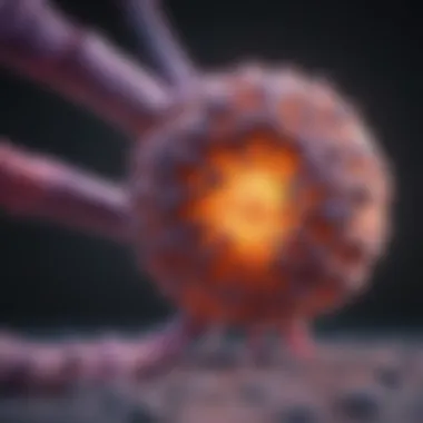 Imaging Techniques in Pancreatic Cancer Diagnosis Visual representation of imaging techniques for cancer detection
