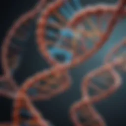 Illustration of the DNA double helix structure
