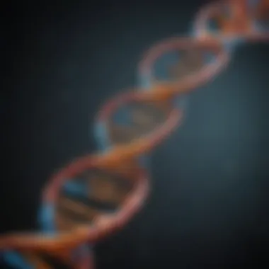 Mechanisms of DNA Replication Visual representation of DNA replication