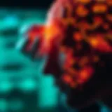 Understanding the Triggers of Migraines Insightful view of migraine triggers