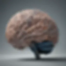 A brain with neural connections highlighted, symbolizing cognitive functions