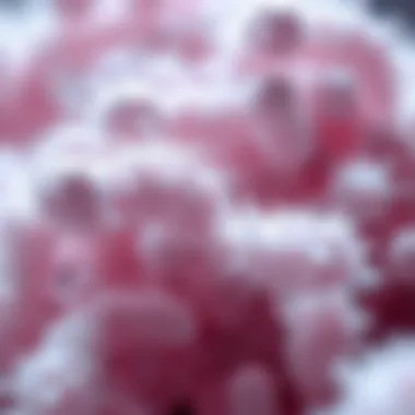 Detailed illustration of E. coli strains