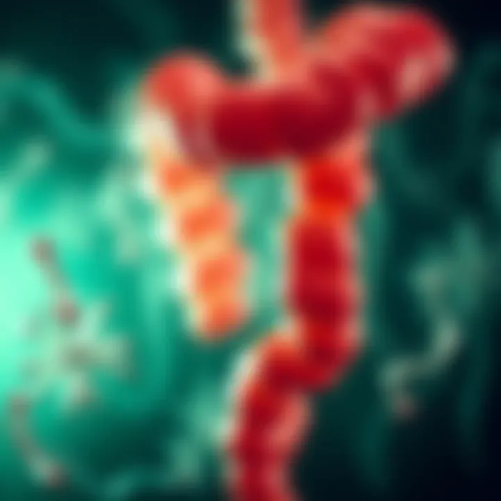 Visual representation of treatment strategies