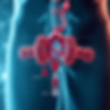 Diagram illustrating urinary tract infection mechanisms