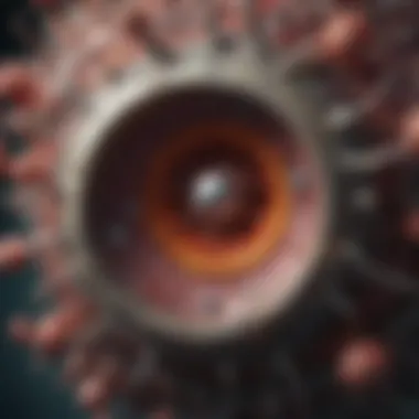 Mechanism of Infection by Ecotropic Lentiviruses Diagram illustrating the mechanism of infection by ecotropic lentiviruses