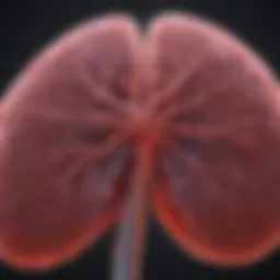 Graph illustrating liver enzyme levels in relation to various health conditions