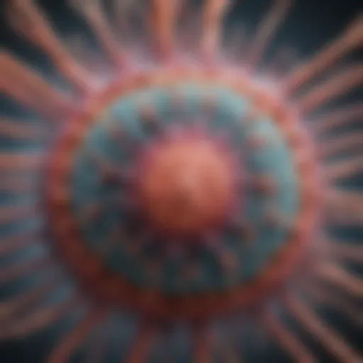 Illustration of the Epstein-Barr virus structure