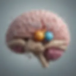 Illustration depicting the mechanism of action of aripiprazole in the brain