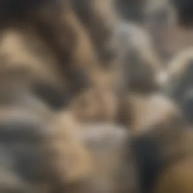 Asian elephant interacting with its environment