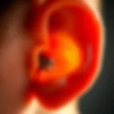 Explorations of the Inner Ear and Cochlear Implants Introduction